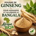 Poudre de ginseng BazarBio pour allonger et agrandir naturellement le Bangala, en sachet de poudre fine.