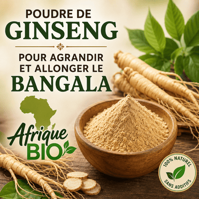 Poudre de ginseng BazarBio pour allonger et agrandir naturellement le Bangala, en sachet de poudre fine.