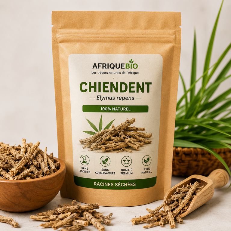 Poudre de Chiendent Elymus repens AFRIQUEBIO dans un sachet, vue proche sur le produit naturel et biologique.