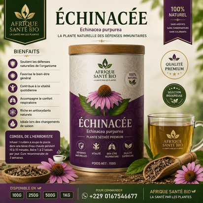 Tisane à l’échinacée de la marque AFRIQUEBIO, plante naturelle pour soutenir le système immunitaire, dans un packaging écologique.