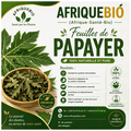 Feuilles de papayer biologique d'AfriqueBio pour renforcer le système immunitaire, avec des feuilles vertes fraîches.