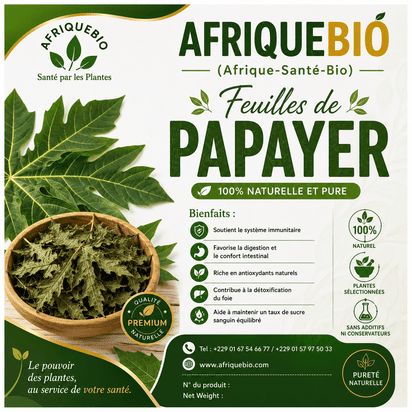 Feuilles de papayer biologique d'AfriqueBio pour renforcer le système immunitaire, avec des feuilles vertes fraîches.