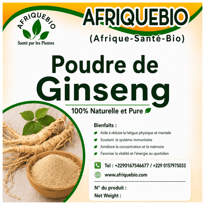 Tisane AFRIQUEBIO à base de poudre de ginseng pour soutenir l’énergie et réduire la fatigue, présentation en sachet.