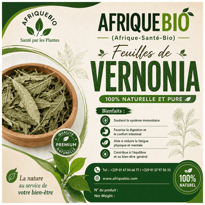 Feuilles de Vernonia, plantes brutes naturelles pour le bien-être général, de la marque AFRIQUEBIO.