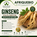 Racines de ginseng AFRIQUEBIO pour favoriser la prise de poids naturellement, présentation des racines séchées.