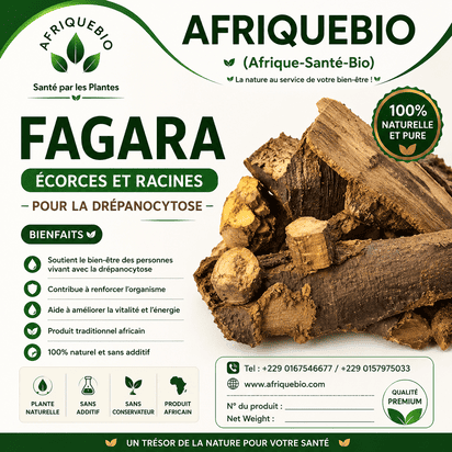 Écorces de Fagara naturelles pour la drépanocytose, produit AFRIQUEBIO, visibles en image.