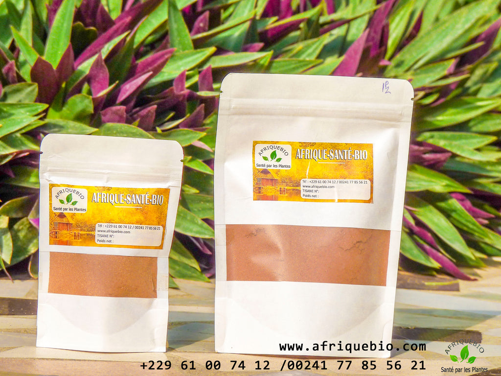 Racine de Nauclea Latifolia, produit naturel anti-inflammatoire, présenté dans un emballage avec racines visibles, par AfriqueBio