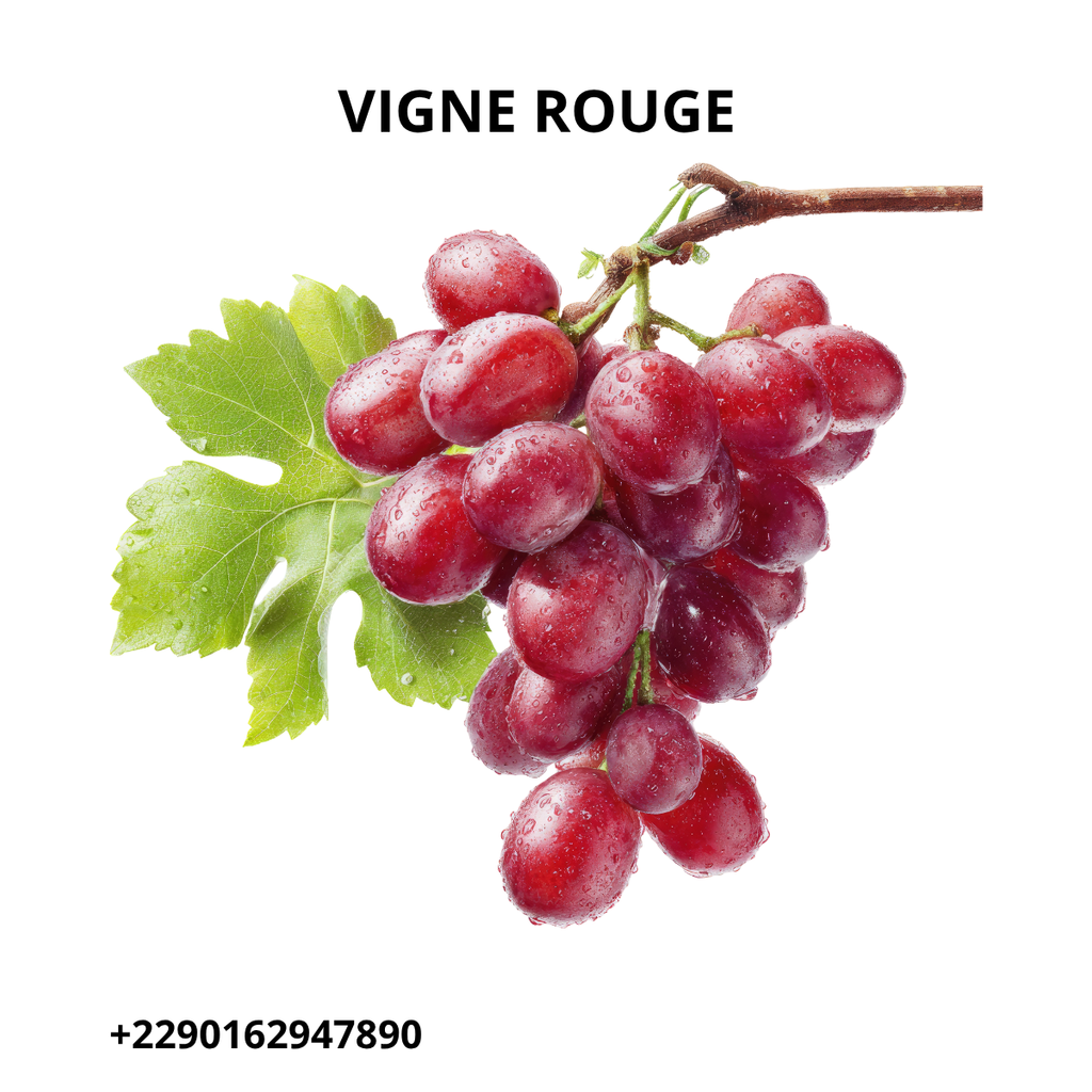 Produit 30 : Tisane Naturelle Insuffisance Veineuse