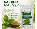 Produit 39 : Nauclea Latifolia pour Débouchée les Trompes de Fallope Naturellement