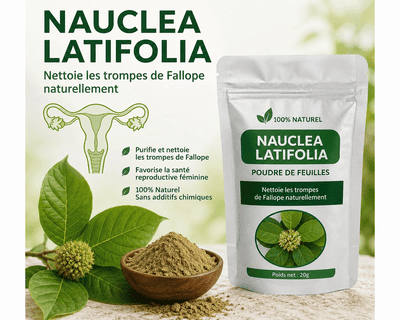 Produit 39 : Nauclea Latifolia pour Débouchée les Trompes de Fallope Naturellement