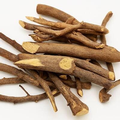 Poudre de la racine Gouro de BAZARBIO-AFRIQUEBIO pour la faiblesse sexuelle, en pot, vue de face dans un cadre naturel