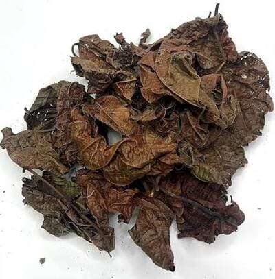 Produit 040 : Tomber Enceinte Naturellement avec les feuille de Djèka
