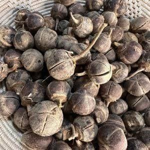 Goron Tula un fruit exceptionnelle antiinflammatoire antioxydant et antalgique