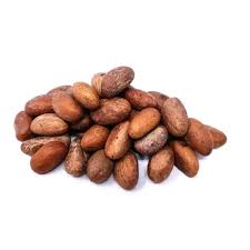 Noix de Petit Cola AfriqueBio, vue en gros plan, avec coque brune et texture rugueuse, sur fond neutre.