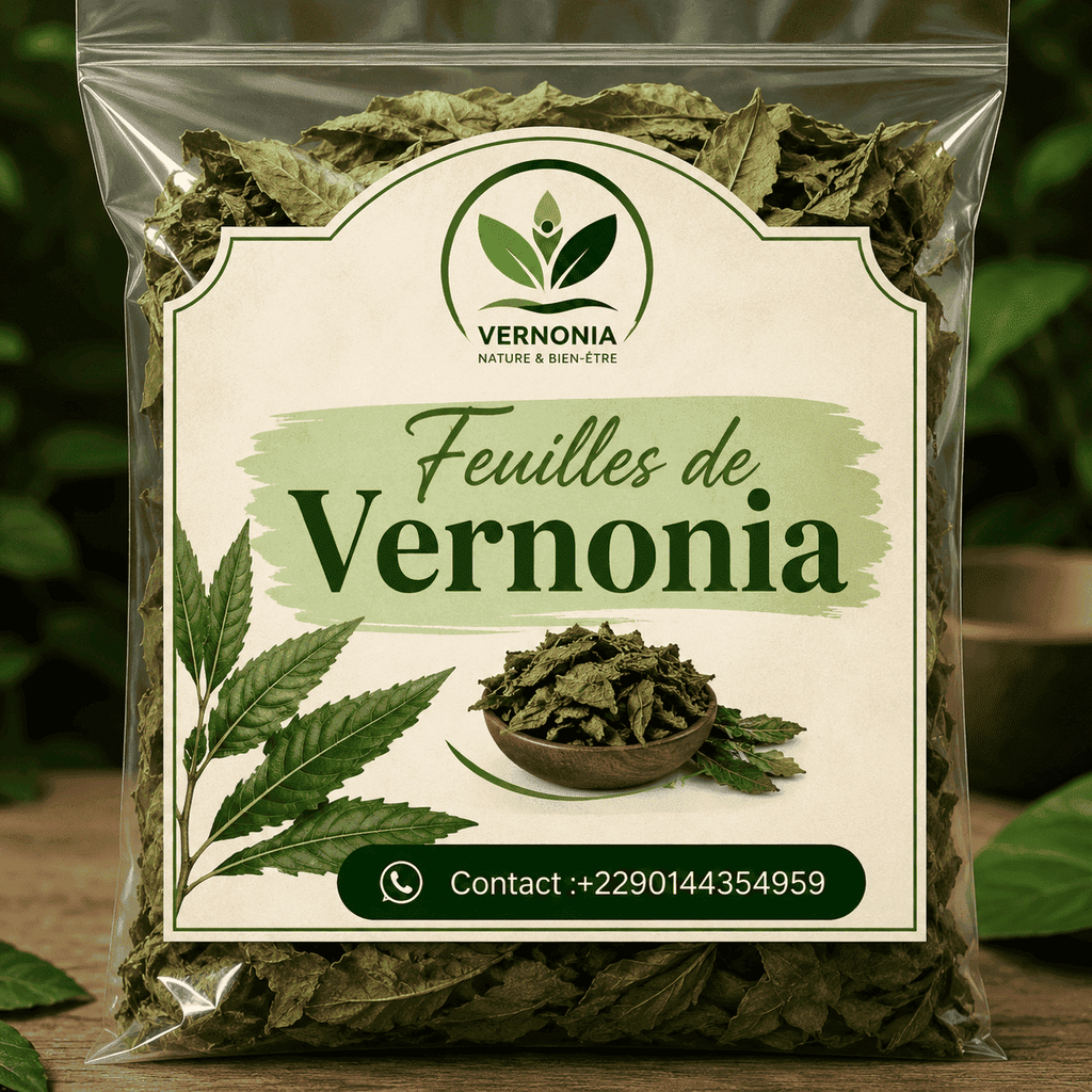 Feuilles de Vernonia AFRIQUEBIO, naturelles et vertes, utilisées pour la préparation traditionnelle ou l'usage médicinal.