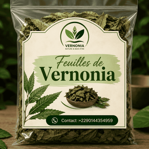 Feuilles de Vernonia AFRIQUEBIO, naturelles et vertes, utilisées pour la préparation traditionnelle ou l'usage médicinal.