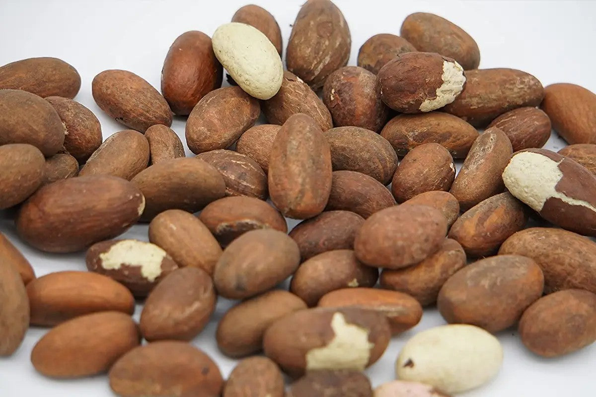Produit 086 :Noix de Petit Cola 100% Naturel  Indispensable pour votre santé en général