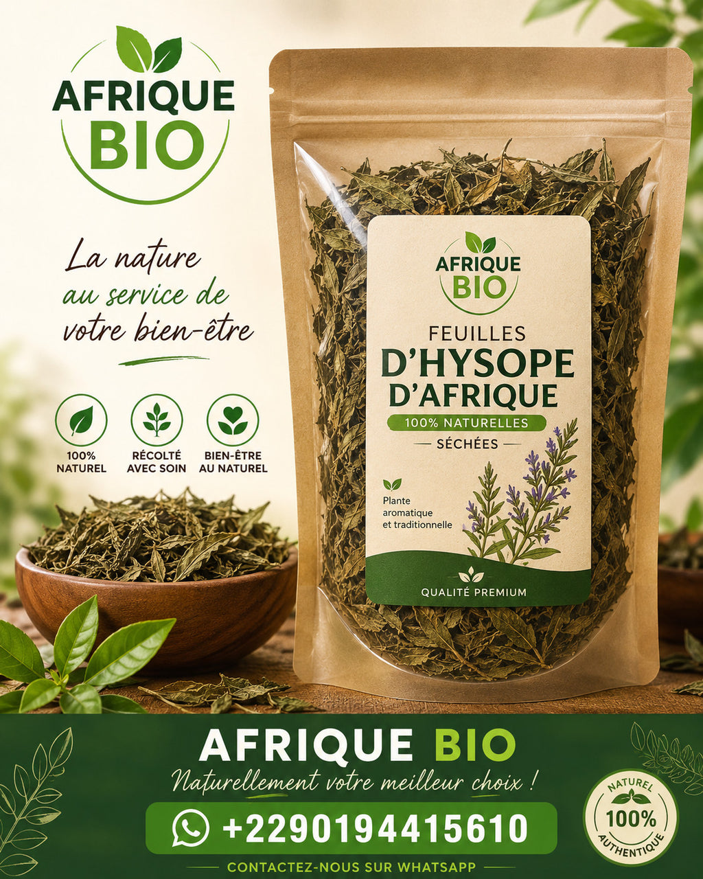 Produit 055 : Hysope d'Afrique pour la Régulation de la Tension et Purification Spirituelle