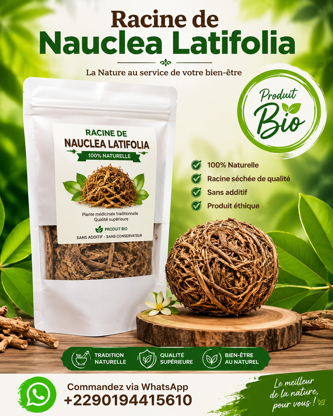 Produit 138 :Racine de Nauclea Latifolia un Anti-inflammatoire Naturel