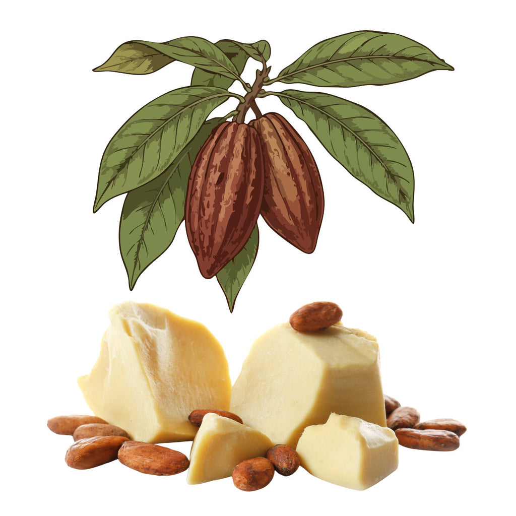 Produit 137 :Beurre de Cacao pour raffiner la silhouette féminine