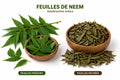 Produit 066 :Feuilles de neem