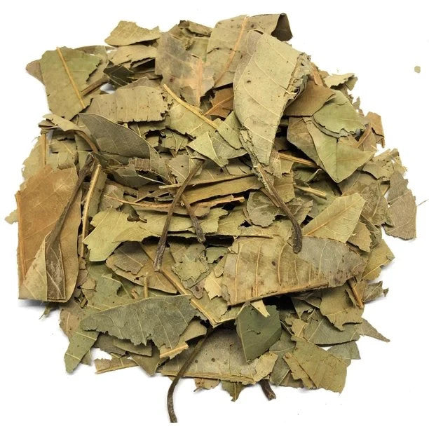 Produit 058 : Feuilles de Manguier Antioxydantes, Anti-inflammatoires et antibactérien