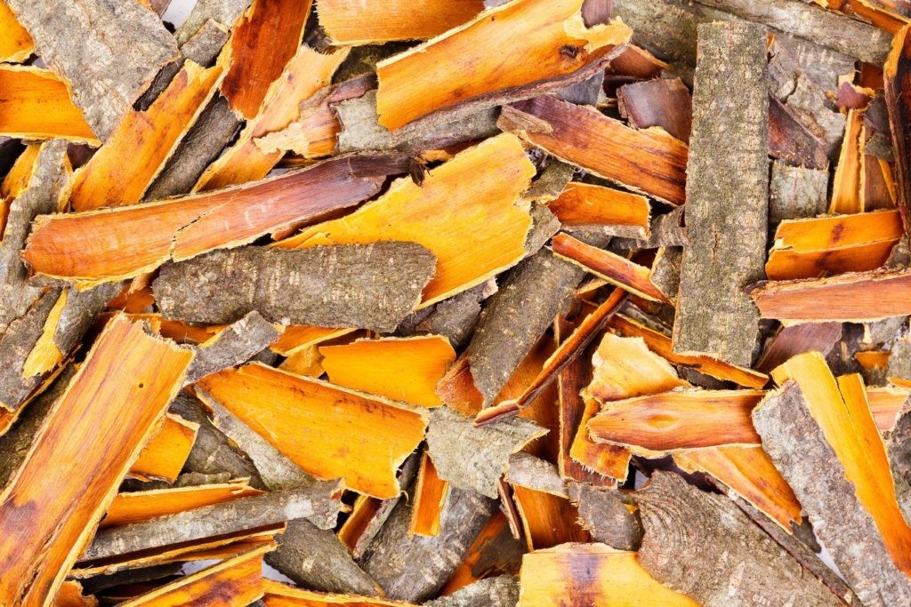 Produit 131 :Bourdaine Écorce Séchée – Frangula alnus – Qualité Premium