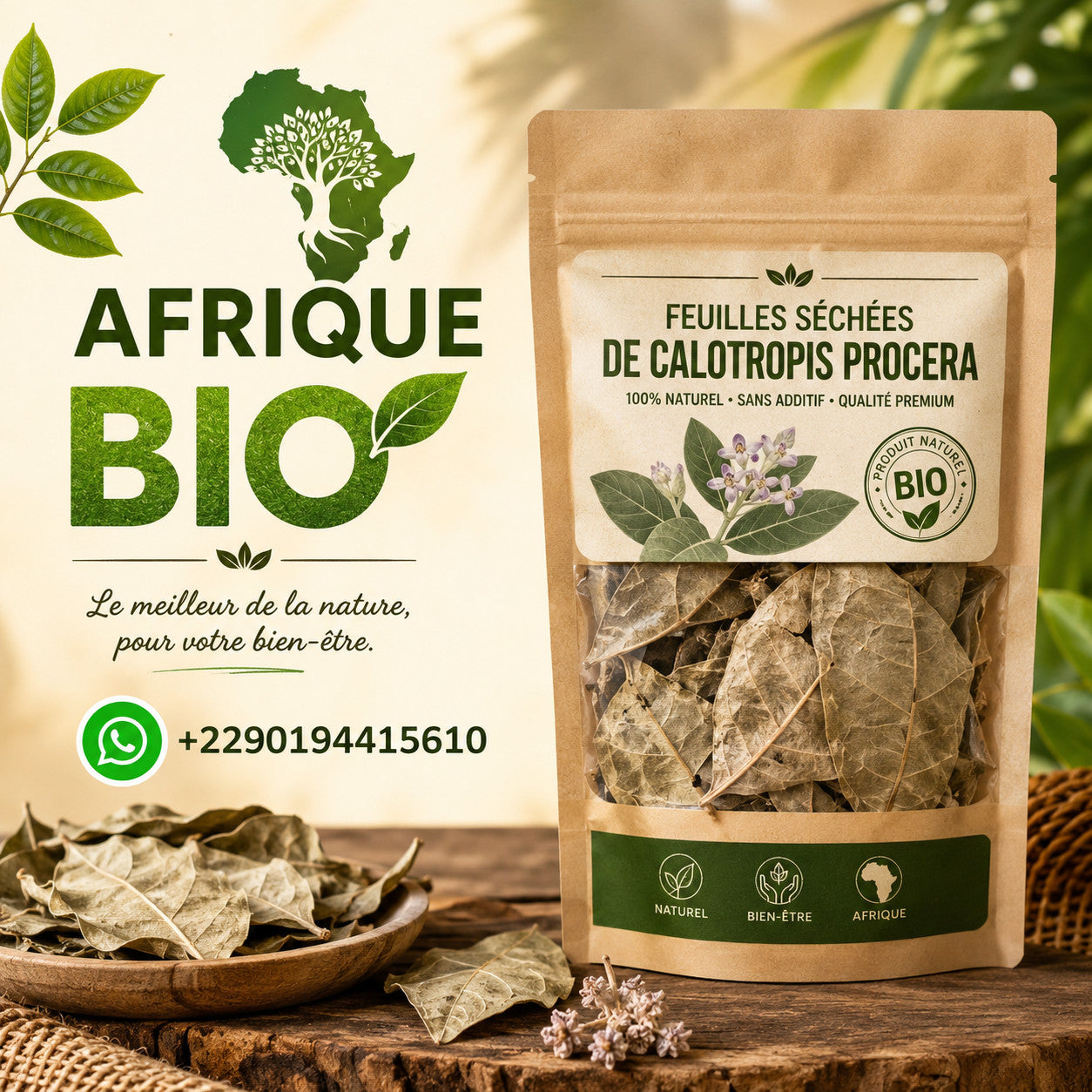 Produit 054 : Calotropis Procera un Anti-inflammatoire et contre les affections cutanées