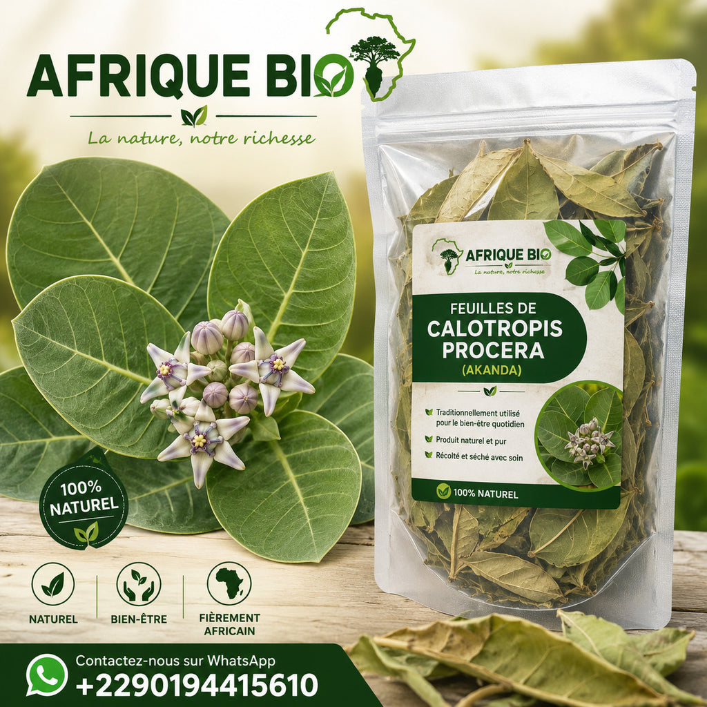 Produit 054 : Calotropis Procera un Anti-inflammatoire et contre les affections cutanées