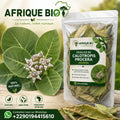 Produit 054 : Calotropis Procera un Anti-inflammatoire et contre les affections cutanées
