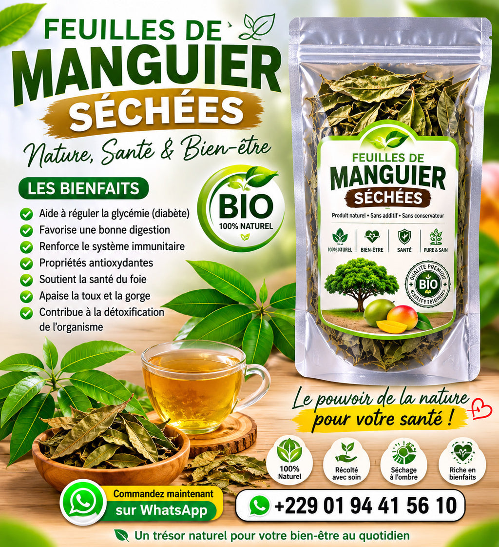 Produit 058 : Feuilles de Manguier Antioxydantes, Anti-inflammatoires et antibactérien