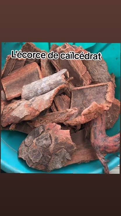 Produit 076 :Écorces de khaya Sénégalensis Cailcedrat