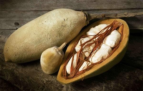 Produit 152 :Pain de singe, Farine de Baobab Bienfaits traditionnellement reconnus (50g)