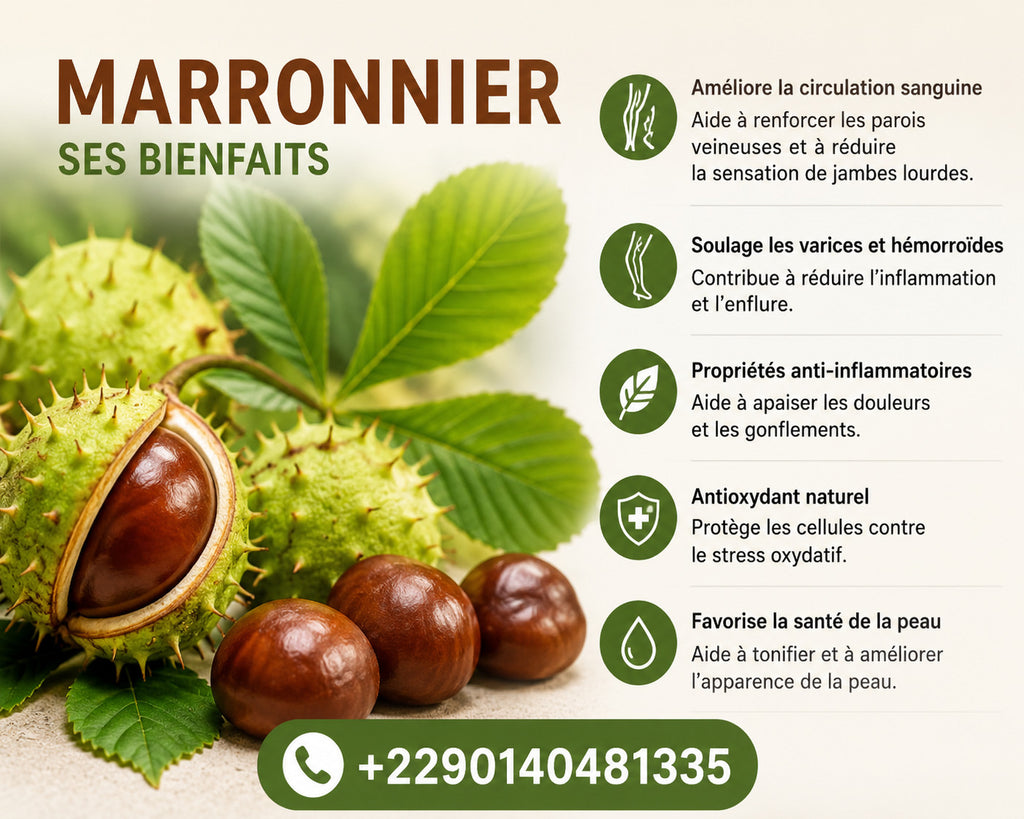 Tisane Marronnier d'Inde de AFRIQUEBIO pour tonifier les veines et traiter l'insuffisance veineuse, en sachet.