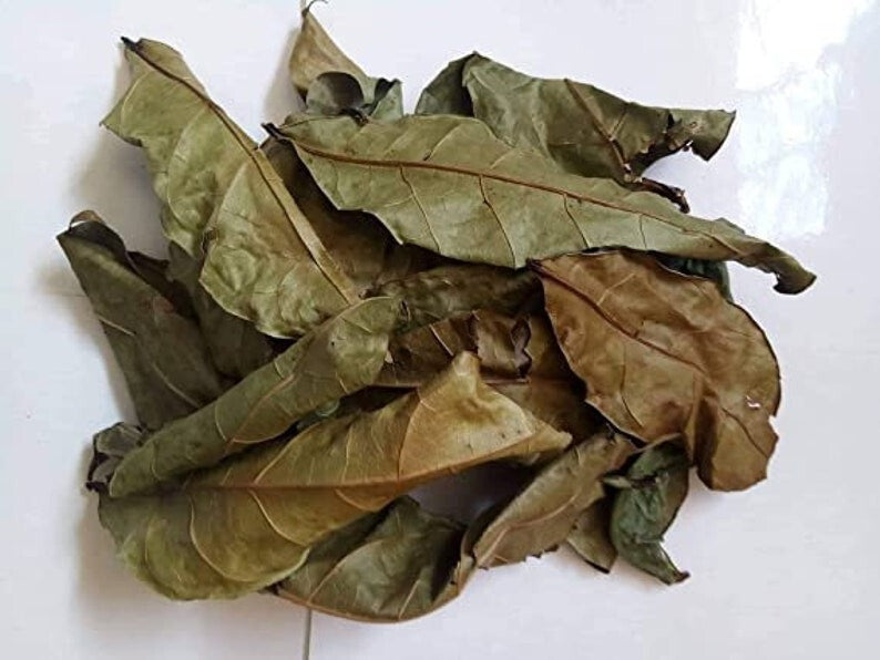 Produit 055 : Hysope d'Afrique pour la Régulation de la Tension et Purification Spirituelle