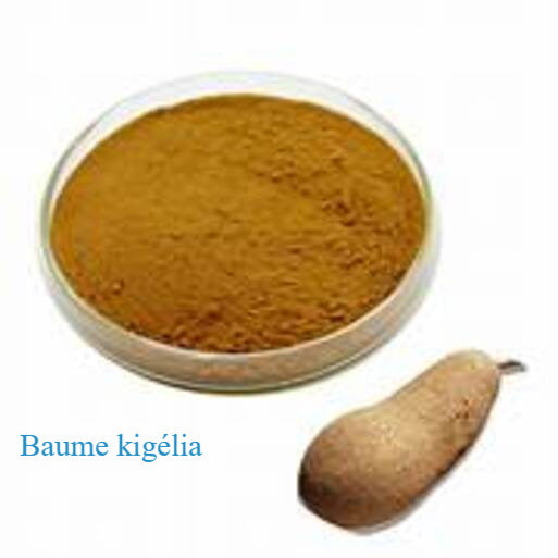 Produit 148 :Le Baume de Kigelia Premium kigilia pour agrandir le troisième pied