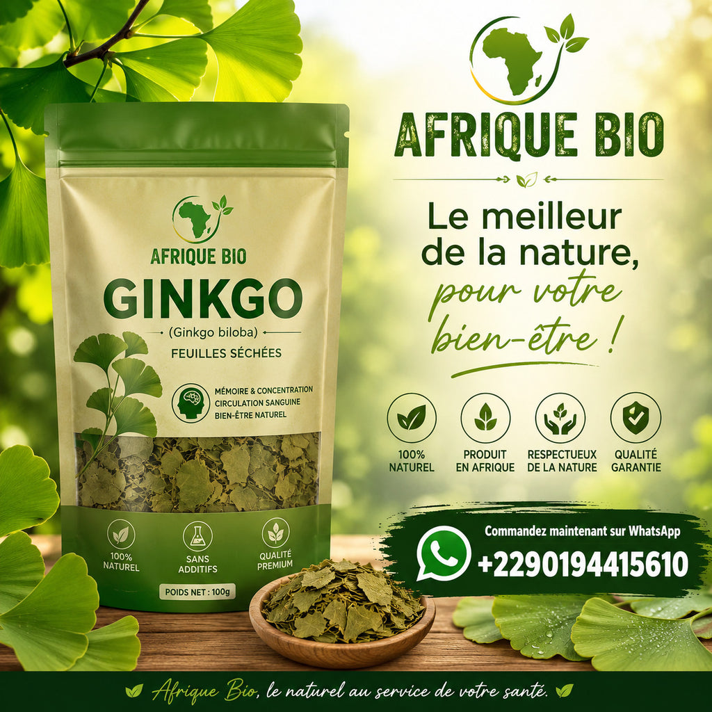 Produit 091:Ginkgo Améliore la mémoire, Active la circulation Riche en antioxydants