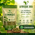 Produit 091:Ginkgo Améliore la mémoire, Active la circulation Riche en antioxydants