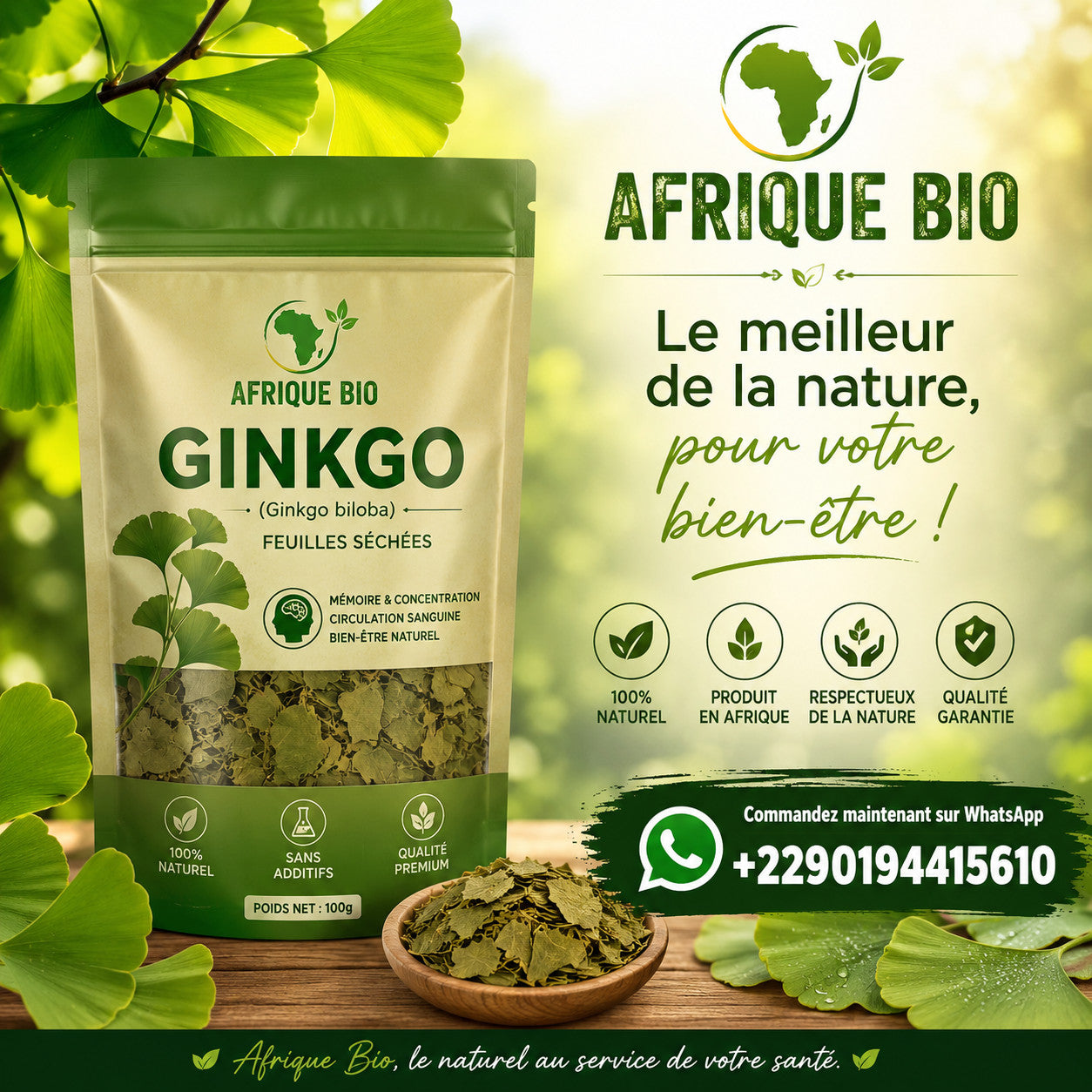 Produit 091:Ginkgo Améliore la mémoire, Active la circulation Riche en antioxydants