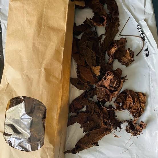 Produit 053 : Feuilles De Djeka pour Déboucher les Trompes et Tomber Enceinte