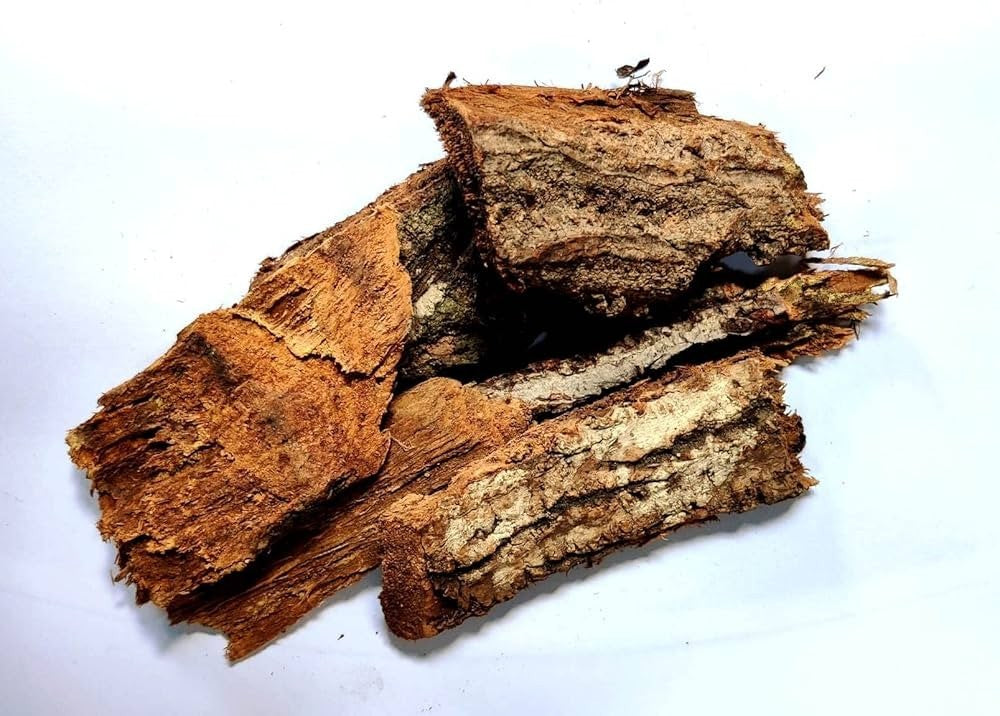 Produit 057 : L'écorce de manguier (astringente, anti-inflammatoire, antibactérien)