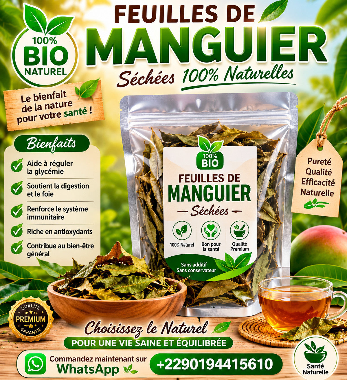 Produit 058 : Feuilles de Manguier Antioxydantes, Anti-inflammatoires et antibactérien