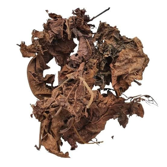 Produit 053 : Feuilles De Djeka pour Déboucher les Trompes et Tomber Enceinte