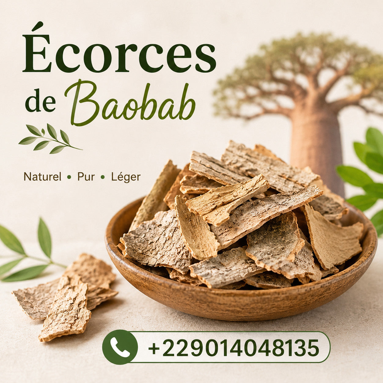 Produit 143 : Ecorce De Baobab: Anti-Paludisme et Booster du Système immunitaire