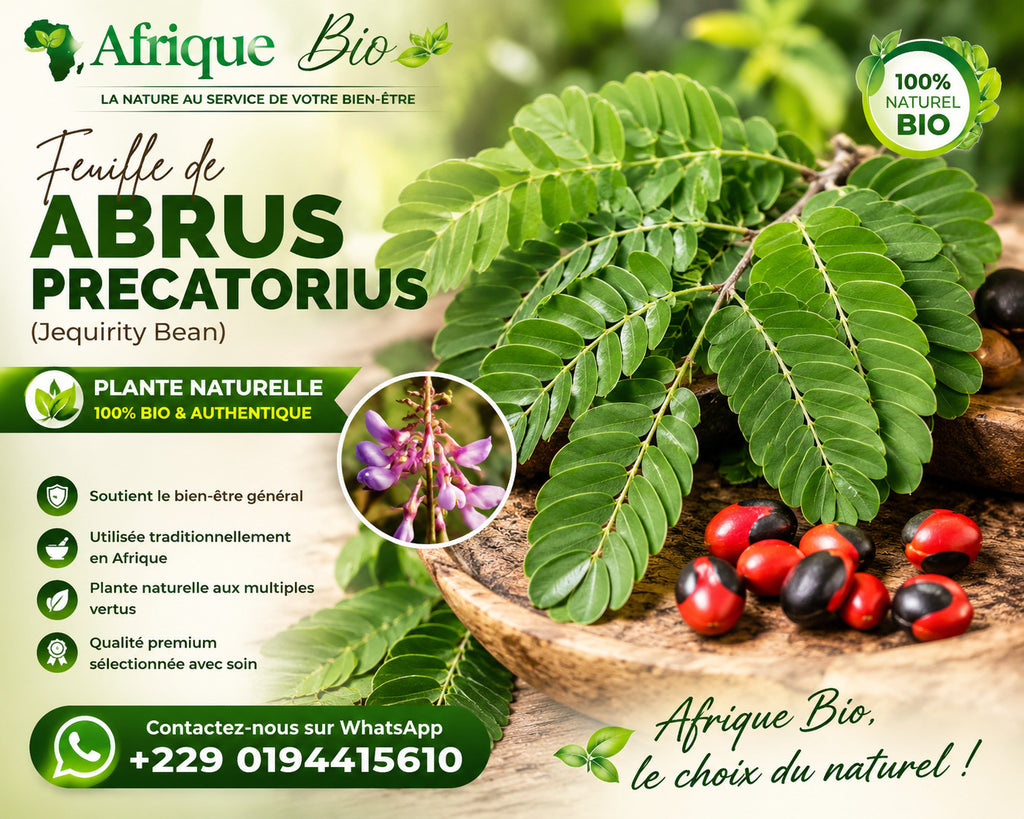 Produit 112 :Abrus Precatorius un Anti-inflammatoire et antidiabétiques Naturel