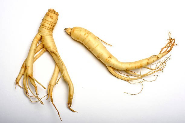 Produit 062 :Ginseng stimulant sexuel et booster de testostérone contre la baisse de libido
