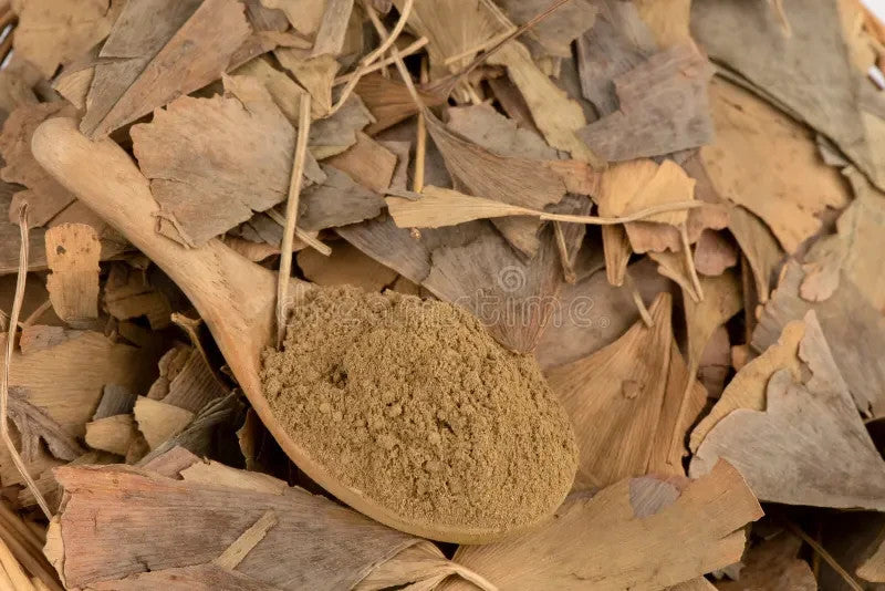 Produit 091:Ginkgo Améliore la mémoire, Active la circulation Riche en antioxydants