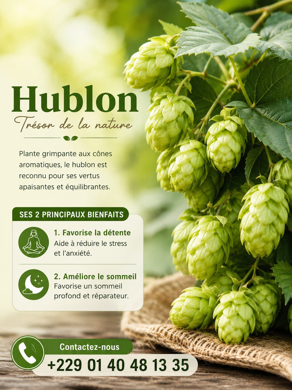 Fruits de houblon AFRIQUEBIO, produit biologique, visibles en sacs dans une image claire et détaillée.