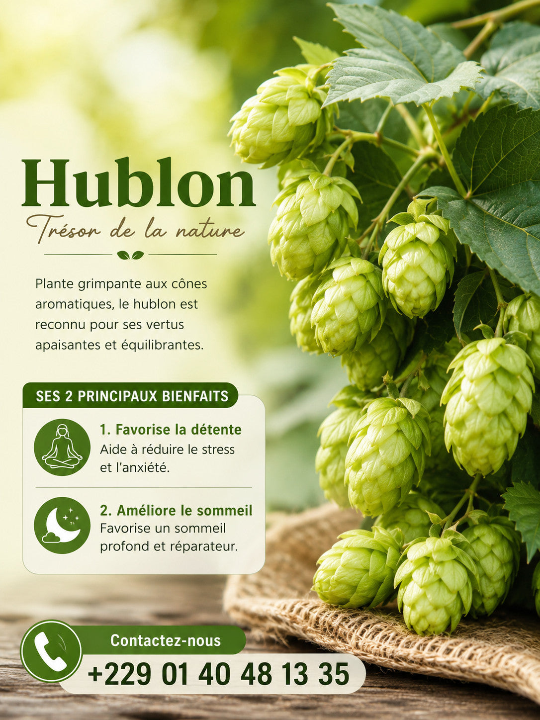 Produit 150 :Houblon