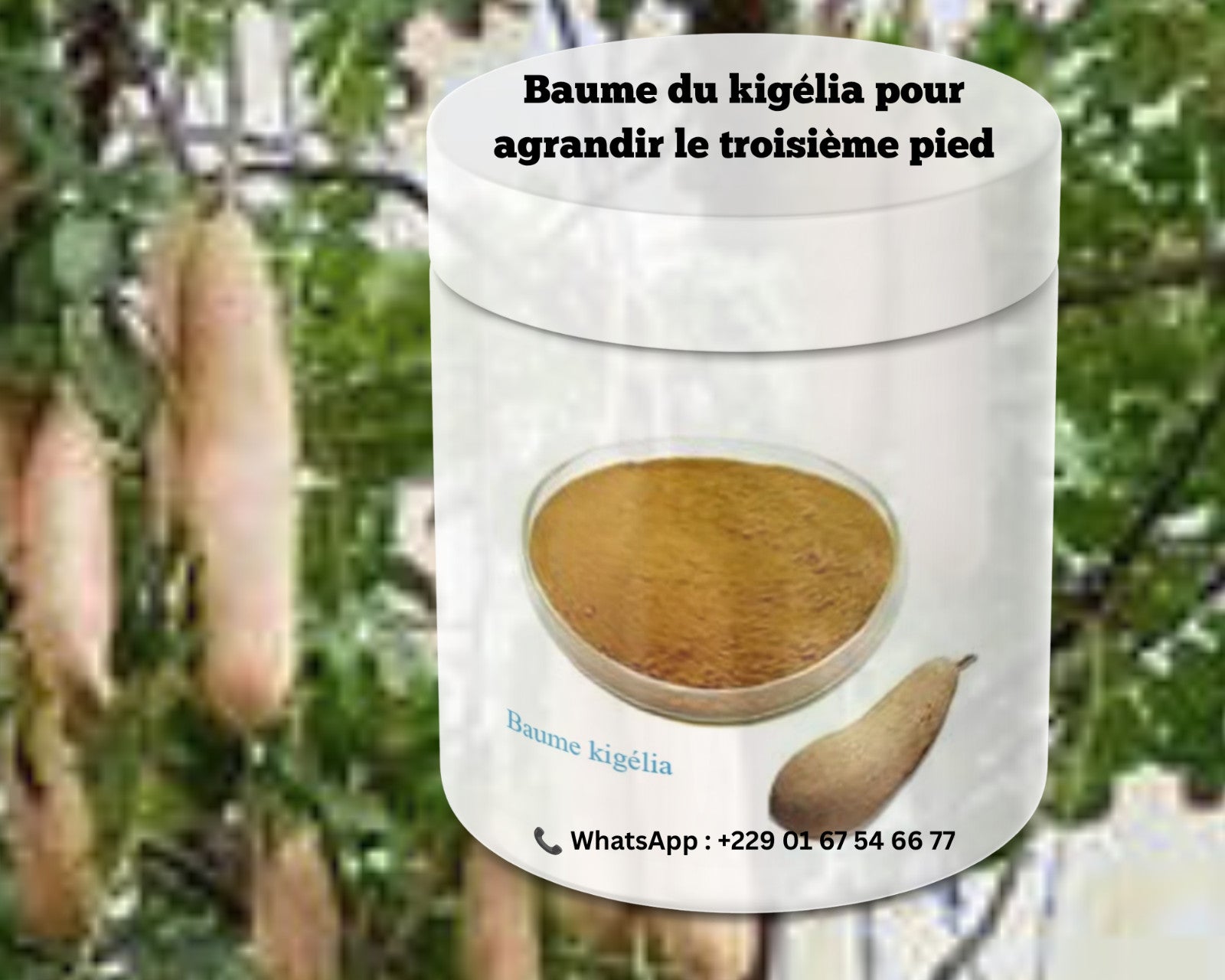 Produit 148 :Le Baume de Kigelia Premium kigilia pour agrandir le troisième pied